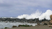 PICTURES/Morro Bay - Otters & Surf/t_Waves Breaking1.jpg